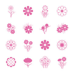 コスモス　アイコン