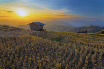 Terraced Rice Field in Pa Pong Pieng , Mae Chaem, Chiang Mai, Th