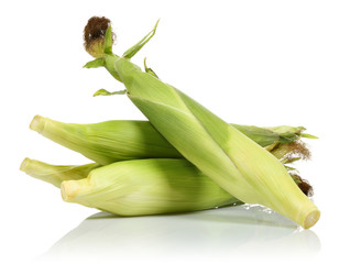 corn in cob