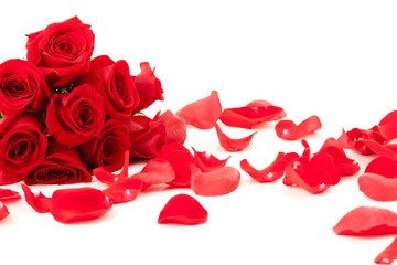 Red roses bunch and petals on a white background