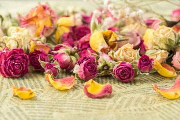 Card, background, invitation, valentine dry roses on the old paper