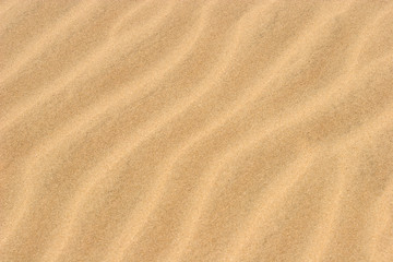 Fototapeta na wymiar Beach Sand