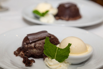 Chocolate Fudge Cake Garnished with Mint Leaf