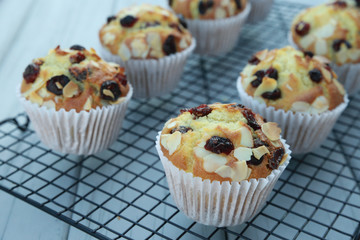 Dried Cranberry and almond muffins