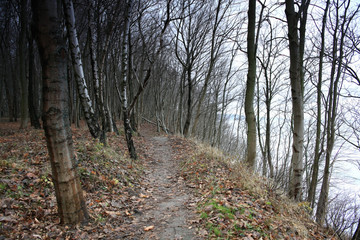 European park autumn landscape