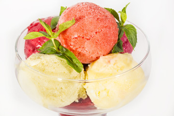 sorbet