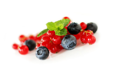 Blueberries and currants with mint 