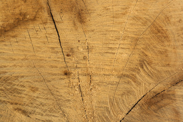 cracked wood background