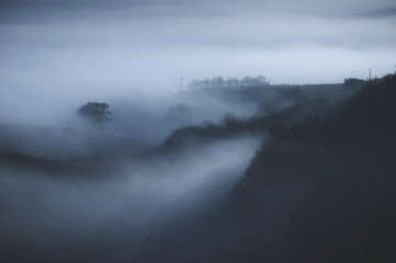 foggy landscape in morning