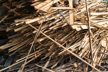 Pile of raw planks of coniferous wood