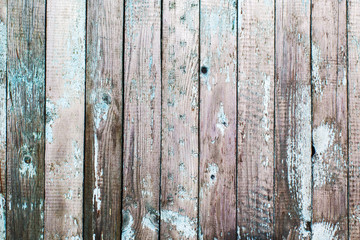 Background - old gray wooden fence with traces of blue paint