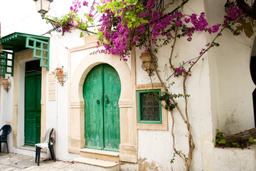 Fototapeta na wymiar Street with wooden doors and bush with flowers in Mahdia. Tunisi