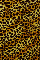 Leopard background