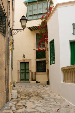 Street with wooden doors and bush with flowers in Mahdia. Tunisi