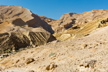 Israel Desert