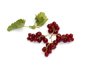 the red currant which is laid out in the form of a figure