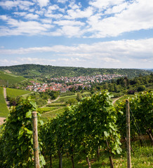 Fototapeta na wymiar Beautiful geman wine fields landscape