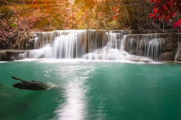 Foto op Plexiglas waterfall in autumn forest © saknakorn
