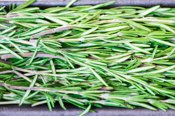 Rosemary for background