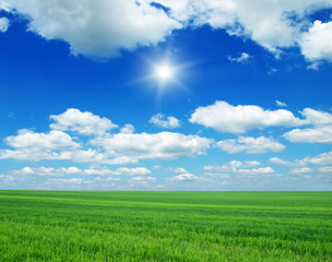 Green field, blue sky and sun