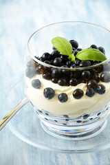 Yogurt with blueberry on glass