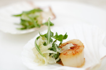 appetizer close-up: scallops, onion fennel, herbs