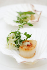appetizer close-up: scallops, onion fennel, herbs