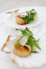 appetizer close-up: scallops, onion fennel, herbs