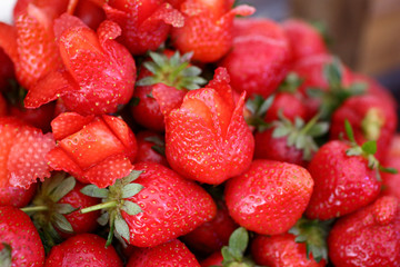 dish with fresh strawberries closeup