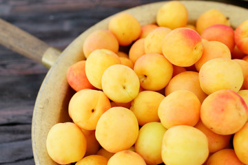 dish with fresh apricots close-up