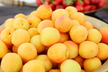 dish with fresh apricots close-up