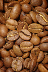 coffee grains
