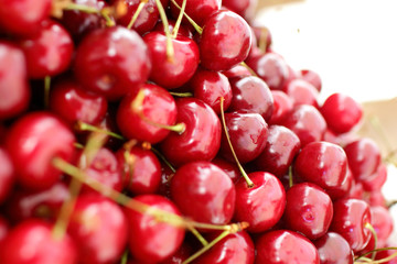 dish with fresh cherries closeup