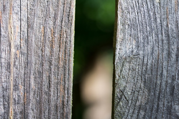 Holzbrätter nah