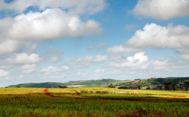 Ivaiporã, Paraná