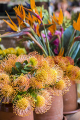Flowers in the market in Funchal, Madeira.