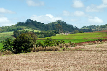 Ivaipor&atilde;, Paran&aacute;
