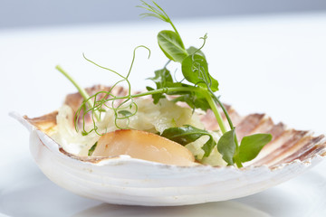 appetizer close-up: scallops, onion fennel, herbs
