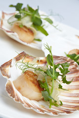 appetizer close-up: scallops, onion fennel, herbs