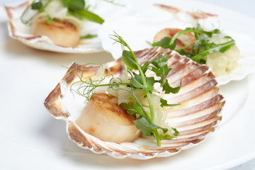 appetizer close-up: scallops, onion fennel, herbs