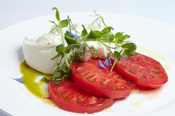 appetizer with tomato and buffalo cheese