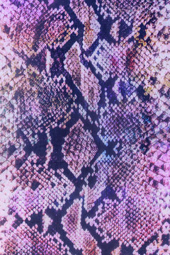 texture of print fabric striped snake leather