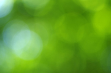 Fototapeta premium green bokeh