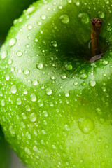 green apple macro in selective focus
