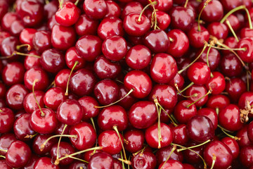 dish with fresh cherries closeup