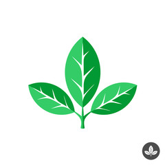 Three green leaves flat vector logo template