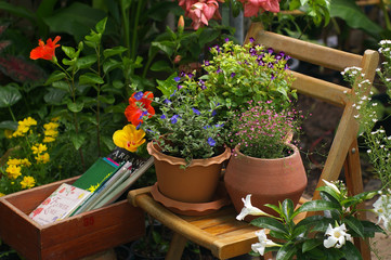 garden chair with flower pot