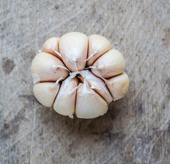 Garlic on the wooden background