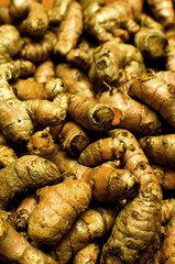 Group of Turmeric