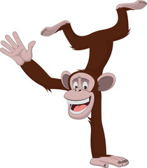 Funny monkey